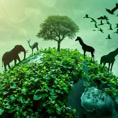 Ethical Values and Anti-Corruption