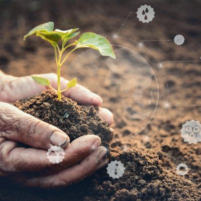 Ethical Values and Anti-Corruption